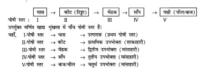 UP Board Solutions for Class 10 Science Chapter 15 Our Environment 1