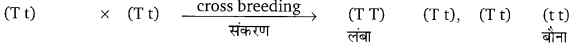 UP Board Solutions for Class 10 Science Chapter 9 Heredity and Evolution 2