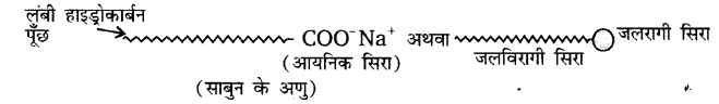 UP Board Solutions for Class 10 Science Chapter 4 Carbon and Its Compounds 21