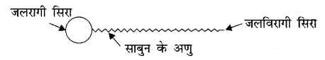 UP Board Solutions for Class 10 Science Chapter 4 Carbon and Its Compounds 17